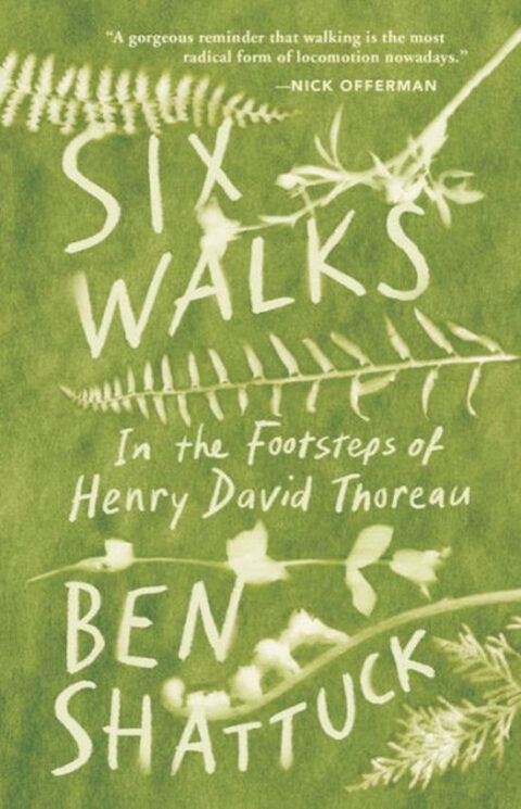 thoreau walking analysis