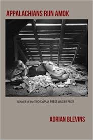 A_BlevinsCover.jpeg